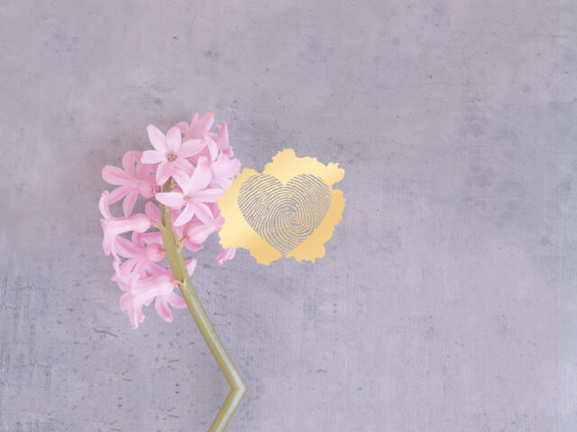 Blog Verwachtingen geef het de ruimte - header